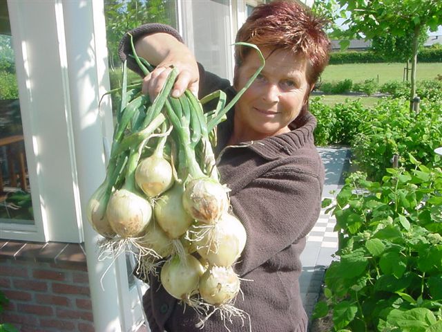 100 PINGUIN F1 WINTER